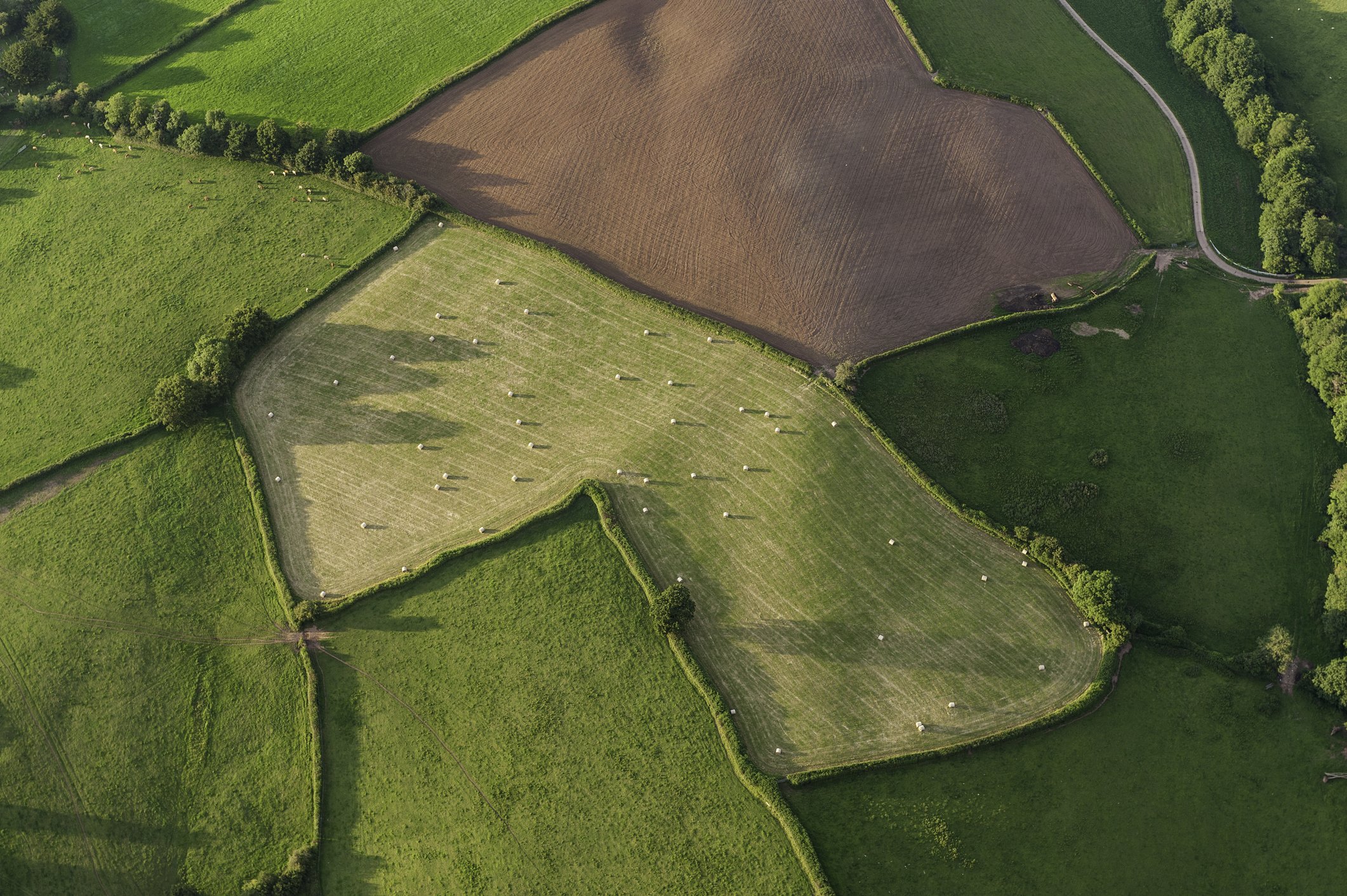 Aerial view of a patchwork of farmland with fields separated by hedgerows and trees, including green and brown cultivated areas and hay bales in one field.