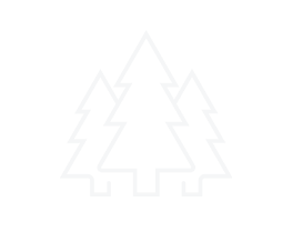 Outline of three pine trees with zigzag branches on a black background.